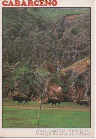 Postal E02422: Bisontes, Parque de la Naturaleza Cabacerno, Cantabria