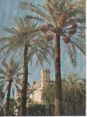 Postal E02448: Paseo Sagrera y Lonja, Palma de Mallorca
