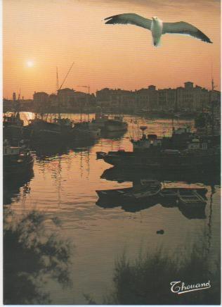 Postal E02087: Le Port, Saint Jean de Luz, Francia