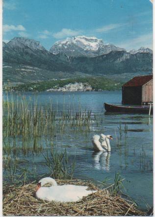 Postal E02127: Le Lac D'Annecy, Francia