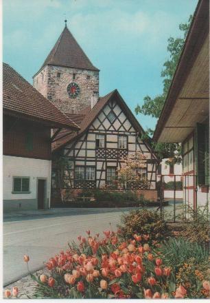 Postal E02105: Tulipanes en Kaiserstuhl, Alemania