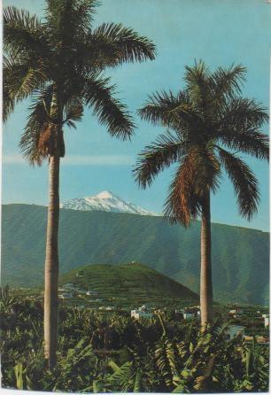 Postal E02033: Plantación de platano,  y el Teide Puerto de la Cruz, Tenerife