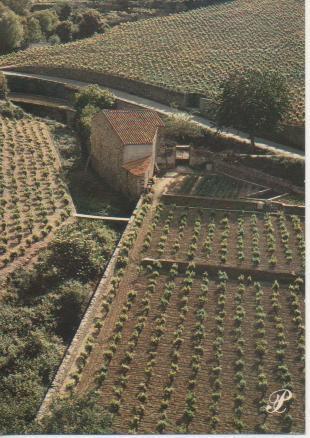 Postal E02246: Imageen de Roussillon, Francia
