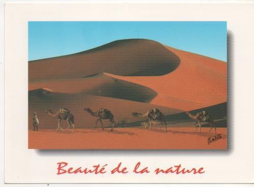 Postal E02183: Carabana Camellos desierto de Argelia