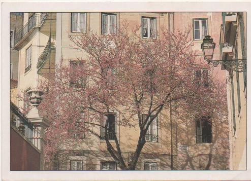 Postal E02177: La vieja Lisboa, Portugal