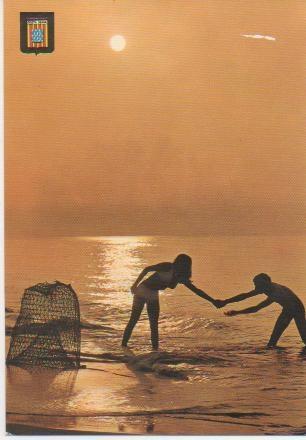 Postal E01664: Imagen de la costa Brava, Girona