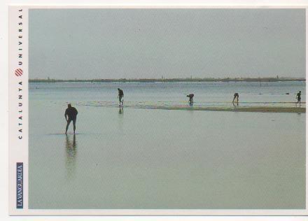 Postal E01698: Mariscadores. El Delta de L'Ebre