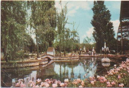 Postal E01914: Estanque Jardines del Real, Valencia