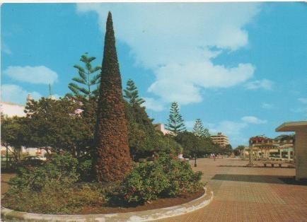 Postal E01903: Parque Municipal, Arrecife, Lanzarote