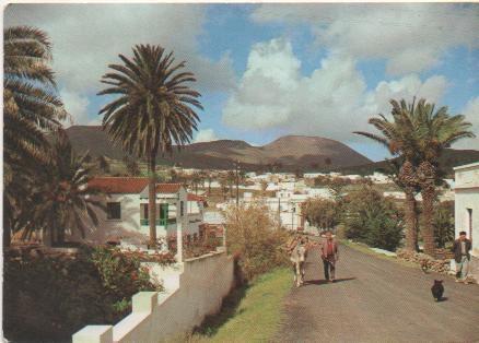 Postal E01904: Vista de Haria, Lanzarote
