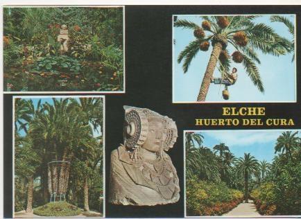 Postal E01976: Imágenes Huerto del Cura, Elche