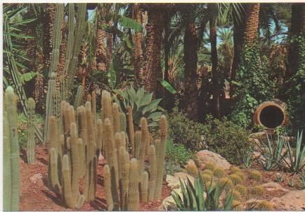 Postal E01977: Huerto del Cura, detalle de la Rocalla, Elche