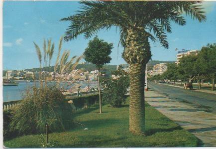 Postal E01876: Paseo Maritimo, Mallorca