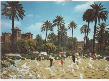 Postal E01789: Vista de Casares, Costa del Sol