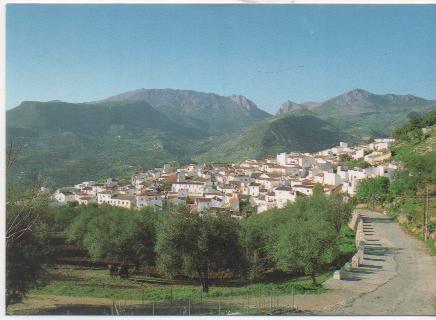 Postal E01793: Vista de Alcaucín, Málaga