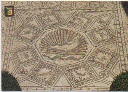 Postal E01769: Nacimiento de Venus, Mosaico Romano, Málaga