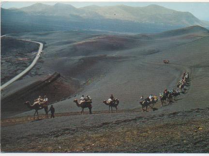 Postal E01872: Camellos, Montaña del Fuego, Lanzarote