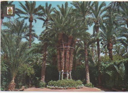 Postal E01833: Palmera Imperial, Elche
