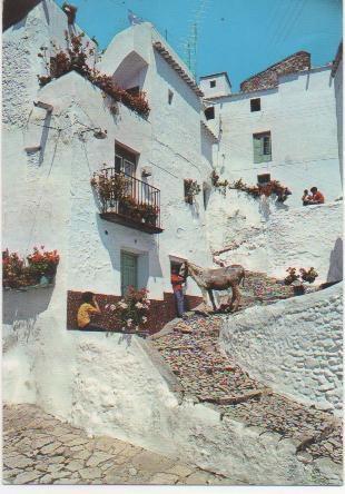 Postal E01158: Calle típica de Competa, Malaga