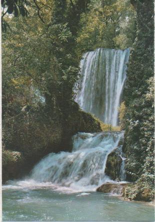 Postal E01143: Baño de Diana, Monasterio de Piedra, Zaragoza
