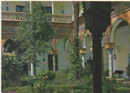 Postal E01241: Patio Palacio de las Dueñas, Sevilla