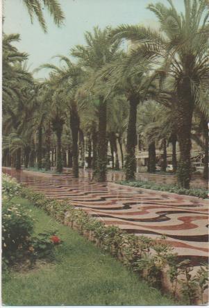 Postal E01200: paseo de la Explanada de España, Alicante"Edición Limitada 1000 ejemplares