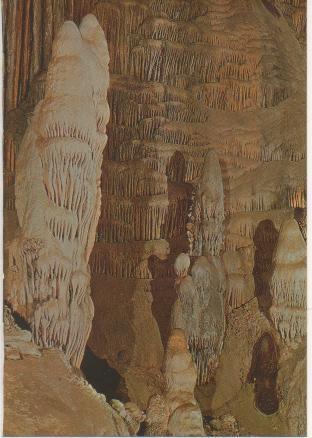 Postal E01007: El Borreguito, cueva de Nerja, Málaga