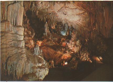 Postal E01009:Sala de los Fantasmas, Cuevas de Nerja, Málaga