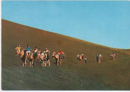 Postal E01414: Camellos en la Montaña del Fuego, Lanzarote, 
