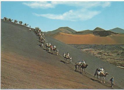 Postal E01425: Caravana de camellos, Lanzarote