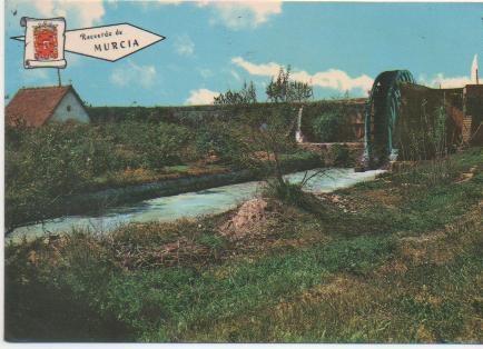 Postal E01437: Huerta y noria Árabe, Murcia