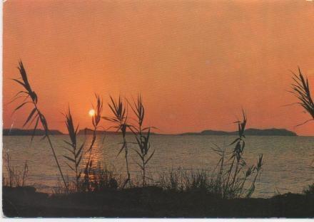 Postal E01476: Puesta de Sol, San ntonio, Ibiza