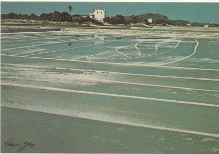 Postasl E01278: Las Salinas Ibiza/Formentera, Baleares