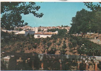 Postal E01312: Rosaleda Parque Municipal, Almadén