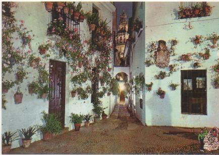 Postal E01354: Rincon Tipico, España