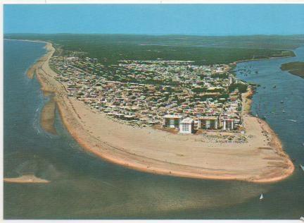 Postal E01313:Playa Punta Umbria, Huelva