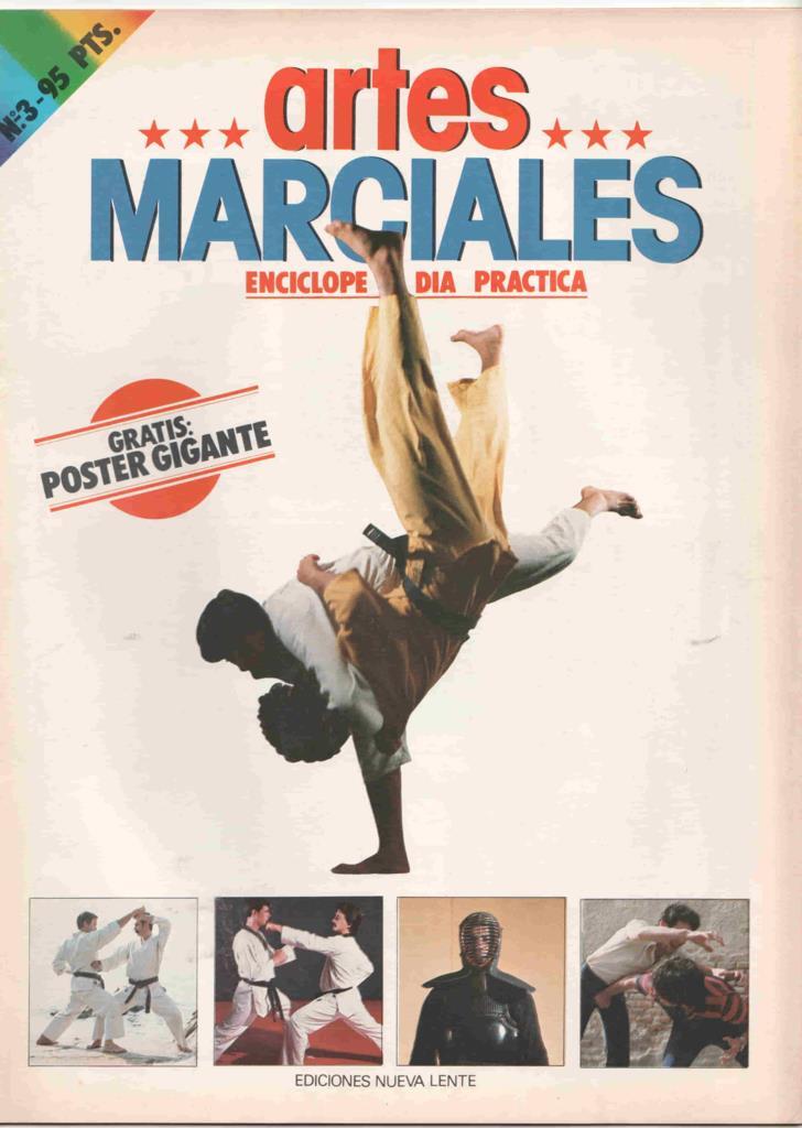 Fasciculo: Artes Marciales num 3. Enciclopedia Practica - (NO CONTIENE EL POSTER). Diagramas sobre el Oi Zuki, Tettsui Uchi: Ataque de Martillo
