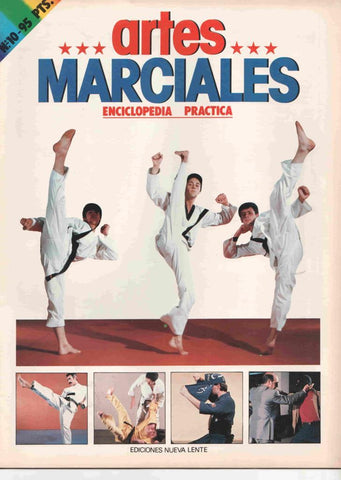 Fasciculo: Artes Marciales num 10. Enciclopedia Practica. Karate-do Katas: Factores determinantes, Resumen del cinturon naranja