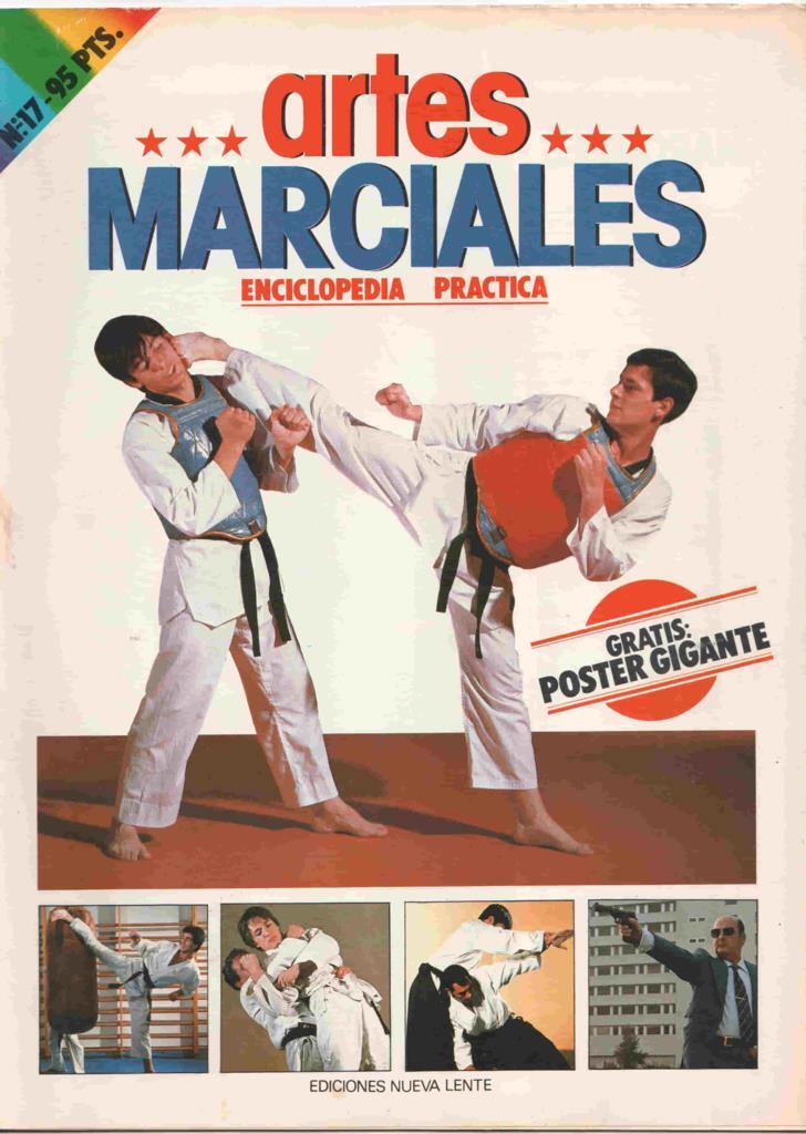 Fasciculo: Artes Marciales num 17. Enciclopedia Practica. NO INCLUYE POSTER. Karate-do trabajo en el saco, encadenamiento de brazos y piernas