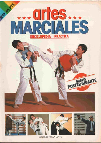 Fasciculo: Artes Marciales num 17. Enciclopedia Practica. NO INCLUYE POSTER. Karate-do trabajo en el saco, encadenamiento de brazos y piernas