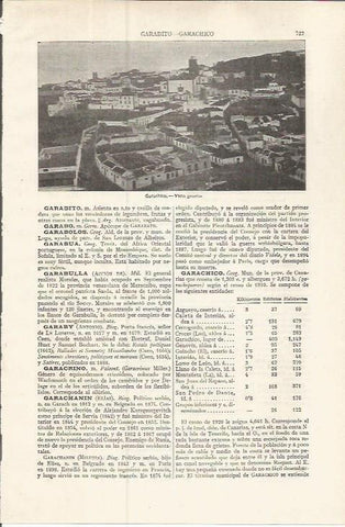 LAMINA ESPASA 37535: Garachico, Canarias