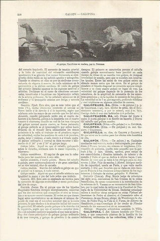LAMINA ESPASA 37489: Al galope, esculturas por A. Peterson