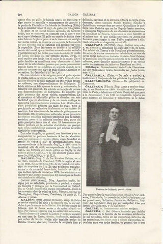 LAMINA ESPASA 37484: Retrato de Galipaux, por G. Alaux