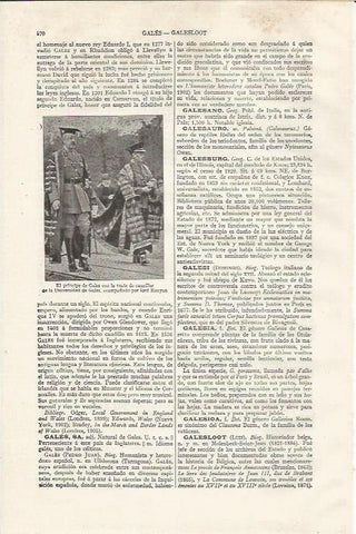 LAMINA ESPASA 37474: EL principe de Gales en la Universidad de Gales