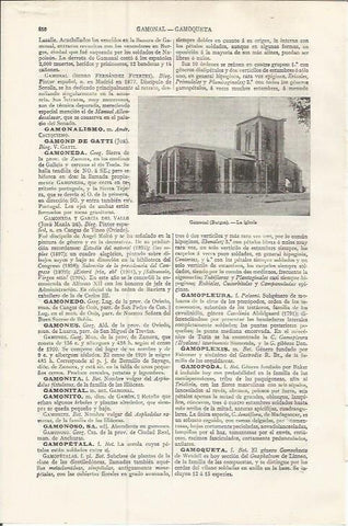 LAMINA ESPASA 37513: Iglesia de Gamonal, Burgos