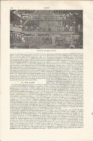 LAMINA ESPASA 37503: Interior de gallera en Manila, Filipinas