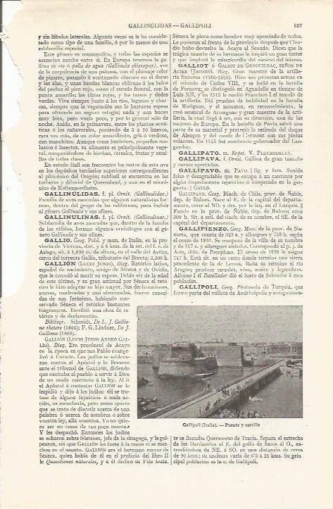 LAMINA ESPASA 37502: Puente y castillo de Gallipoli, Italia