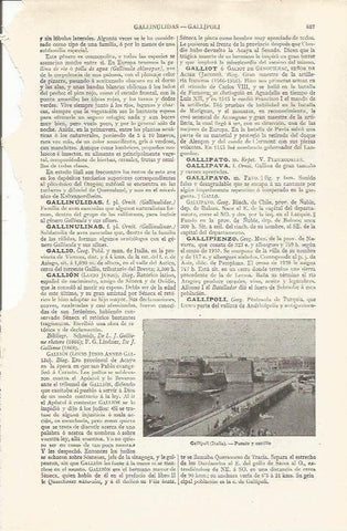 LAMINA ESPASA 37502: Puente y castillo de Gallipoli, Italia