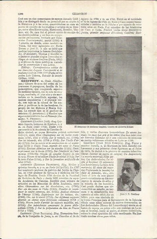 LAMINA ESPASA 37625: El desayuno de madame Geoffrin, por Robert