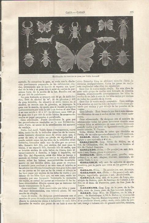 LAMINA ESPASA 37574: Estilizacion de insectos en gasa